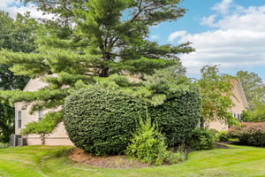 Glendevon Dr-S1707-058.jpg