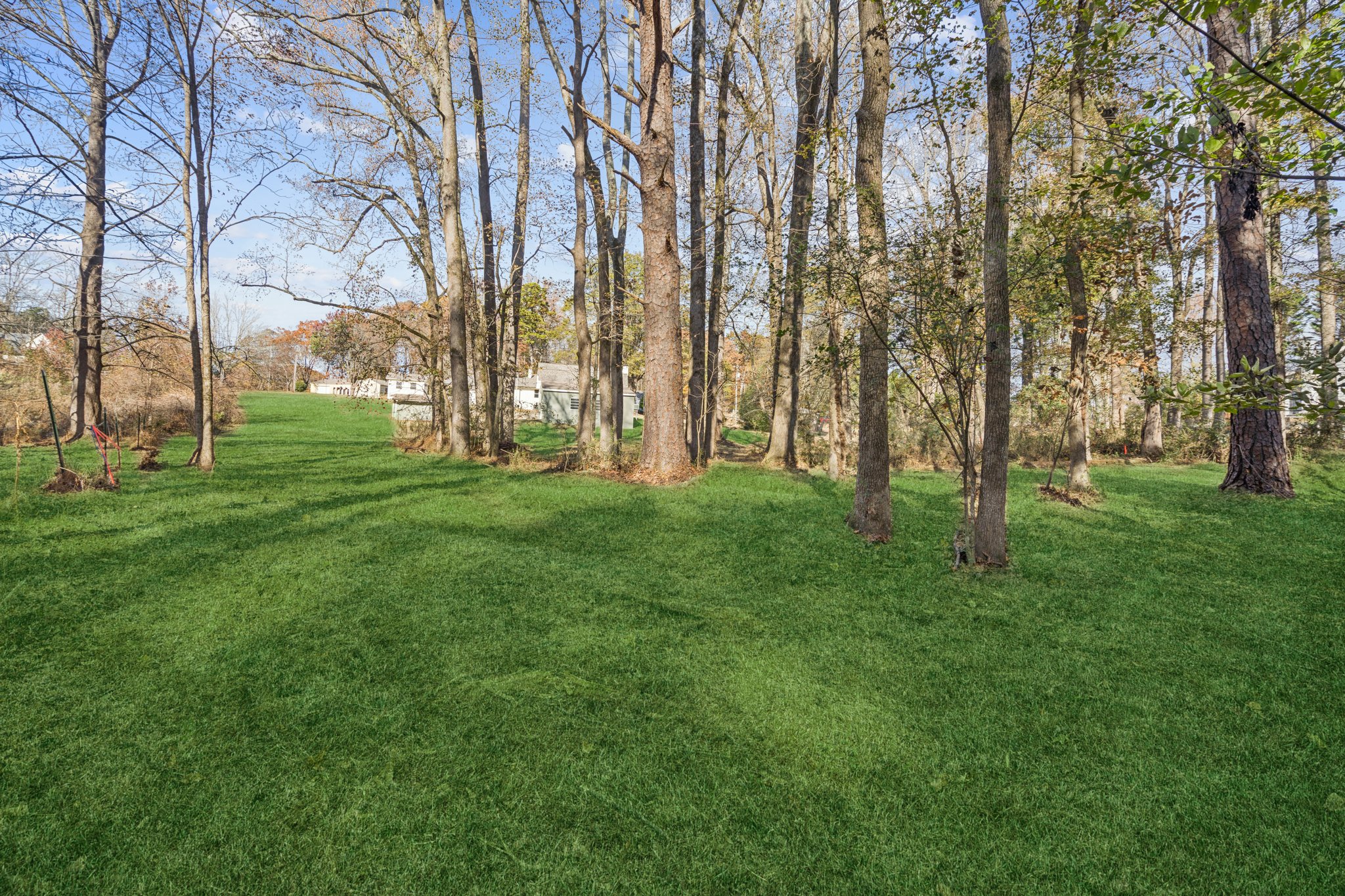 Local_Flavor_films- 1044 McClure Dr, Cumming, GA 30028-291.jpg