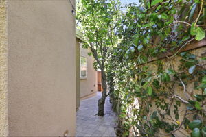  Photo 49