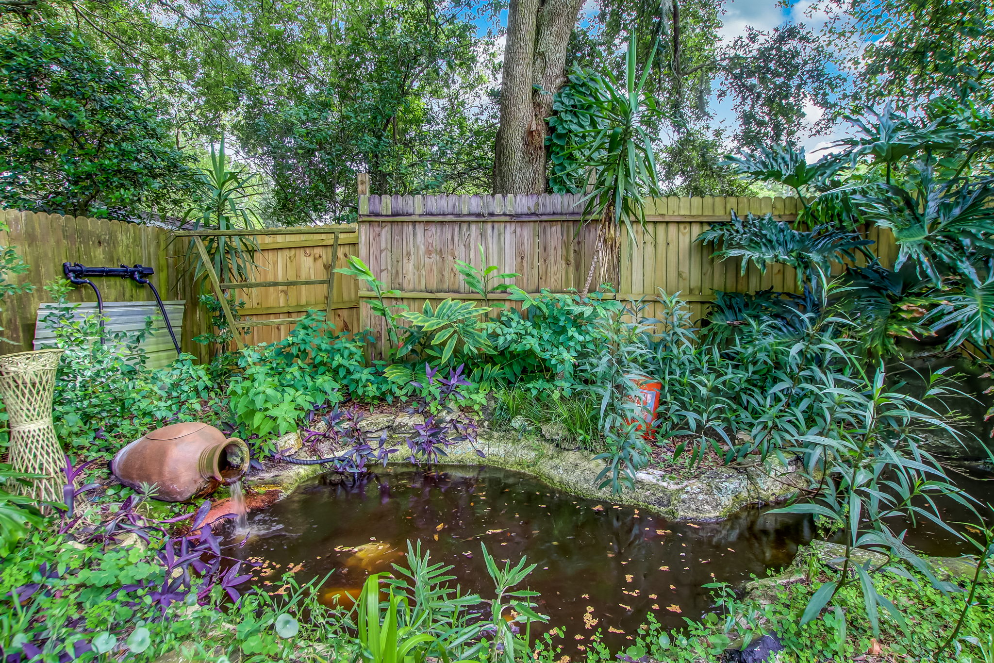 Koi Pond