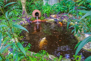 Koi Pond