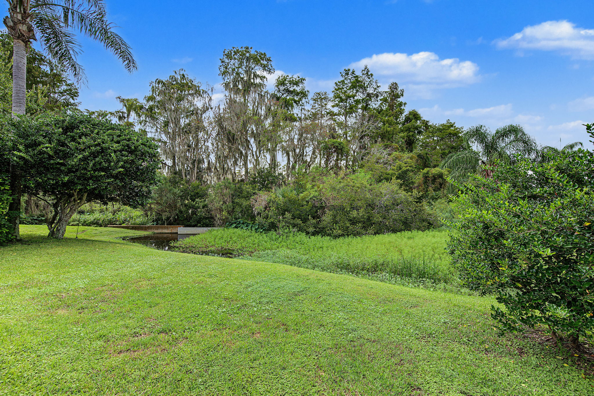 Backyard1
