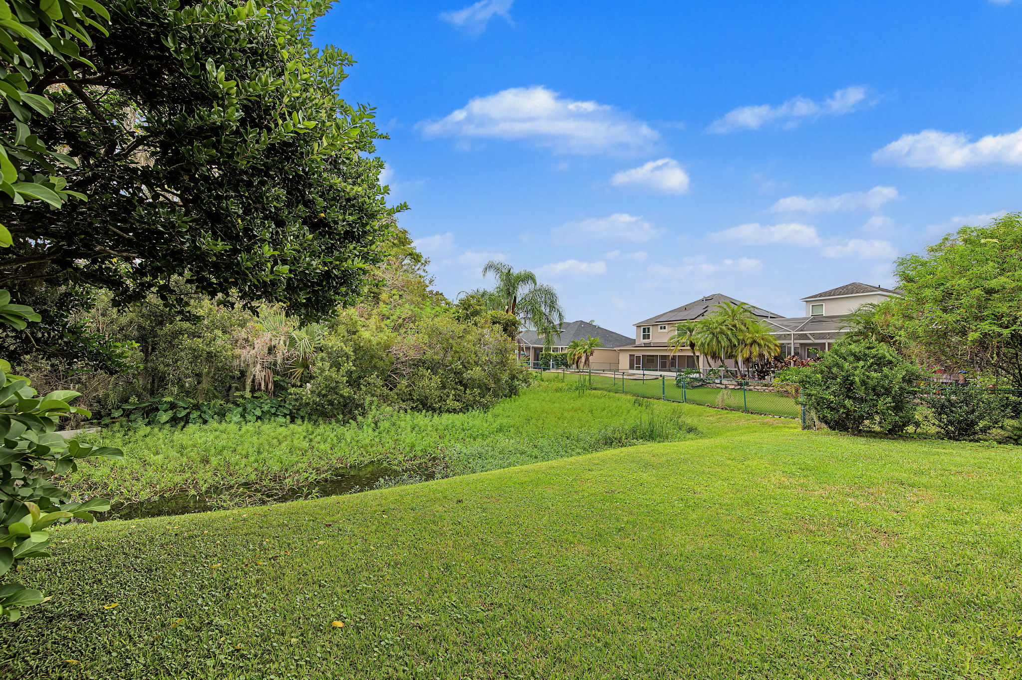 Backyard3