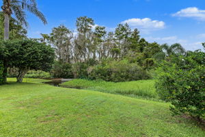 Backyard1