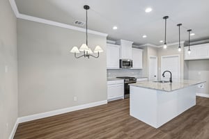 Nighthawk Trl-S0708-006.jpg