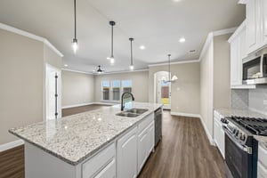 Nighthawk Trl-S0708-009.jpg