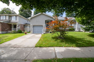  Photo 49