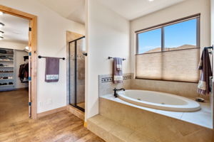 Primary Bathroom (2)