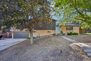 Livingston Dr-S2908-001.jpg