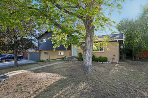 Livingston Dr-S2908-003.jpg