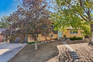 Livingston Dr-S2908-049.jpg