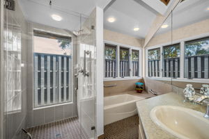 Primary Bathroom 1b