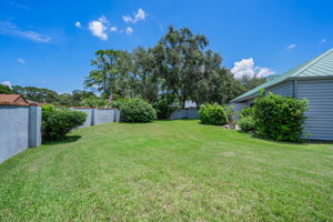 Backyard 5