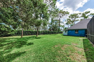 Backyard 1