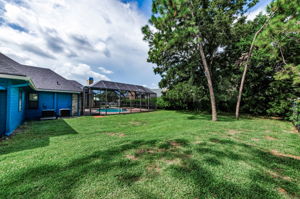 Backyard 3