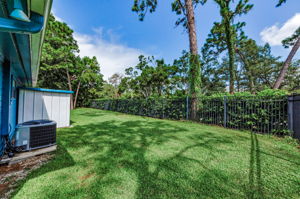 Backyard 6