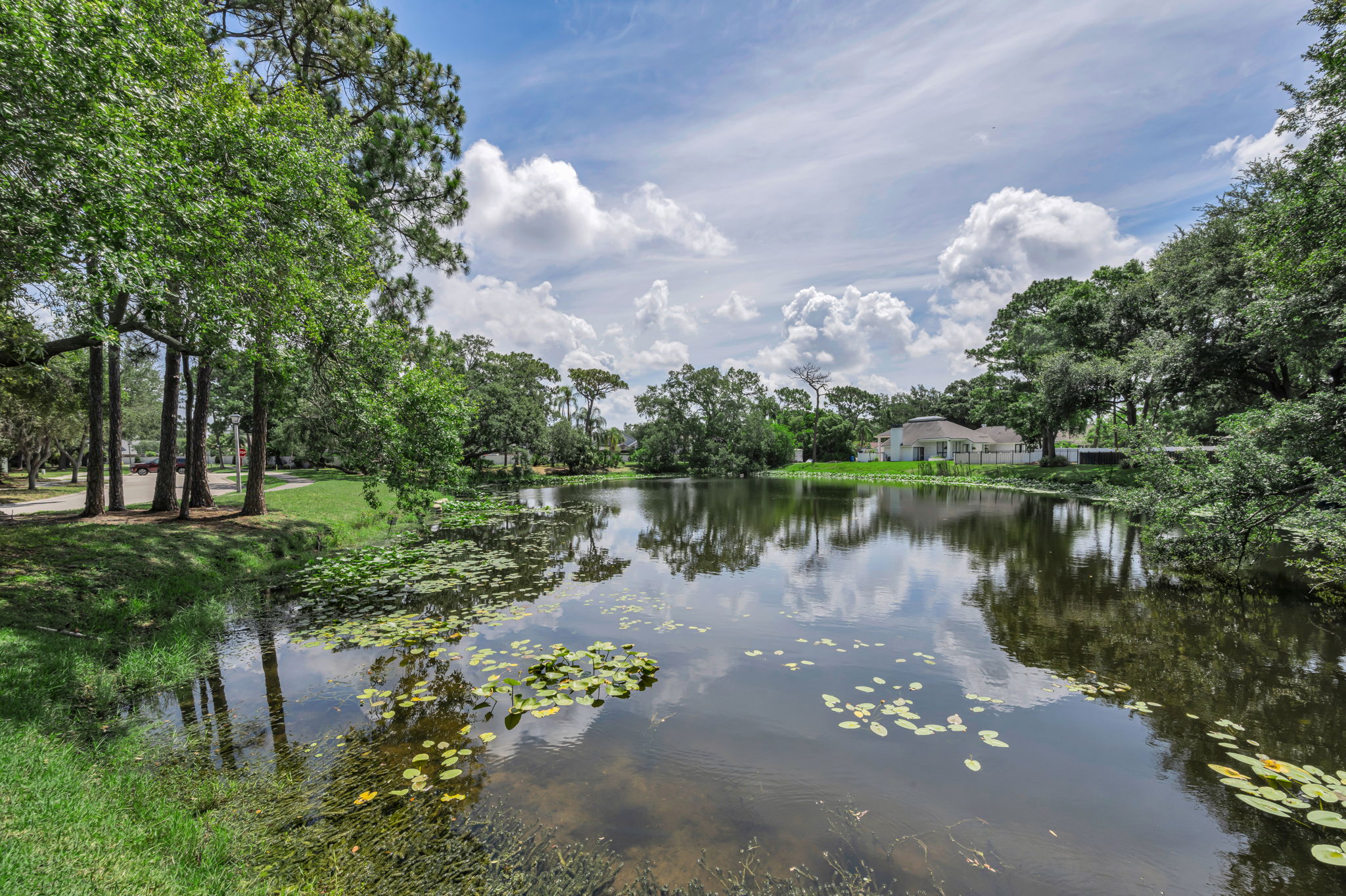 Pond View 1