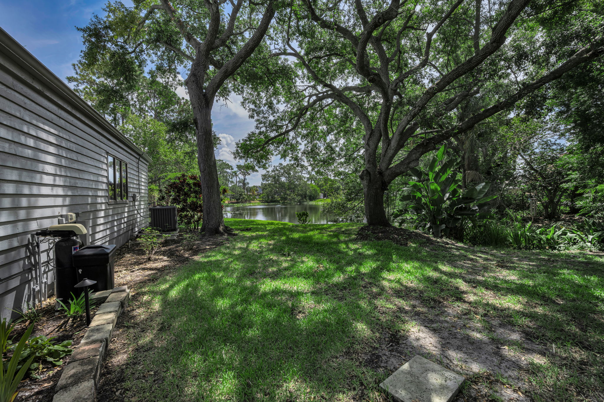 Backyard 4