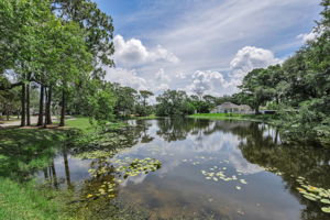 Pond View 1