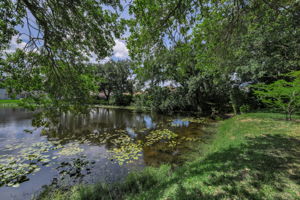 Pond View 2