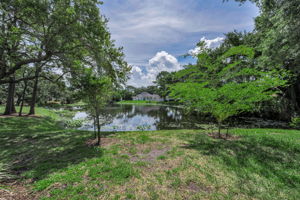 Backyard 1