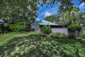 Backyard 2