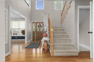  Photo 46