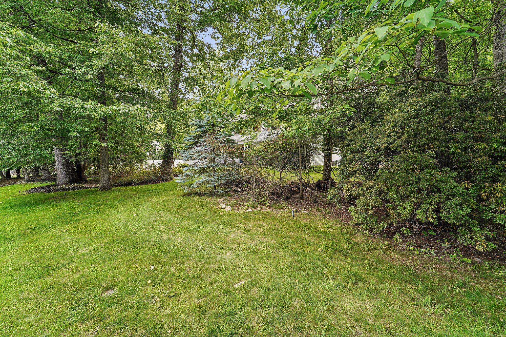 Deerhorn Ct-S0206-003.jpg