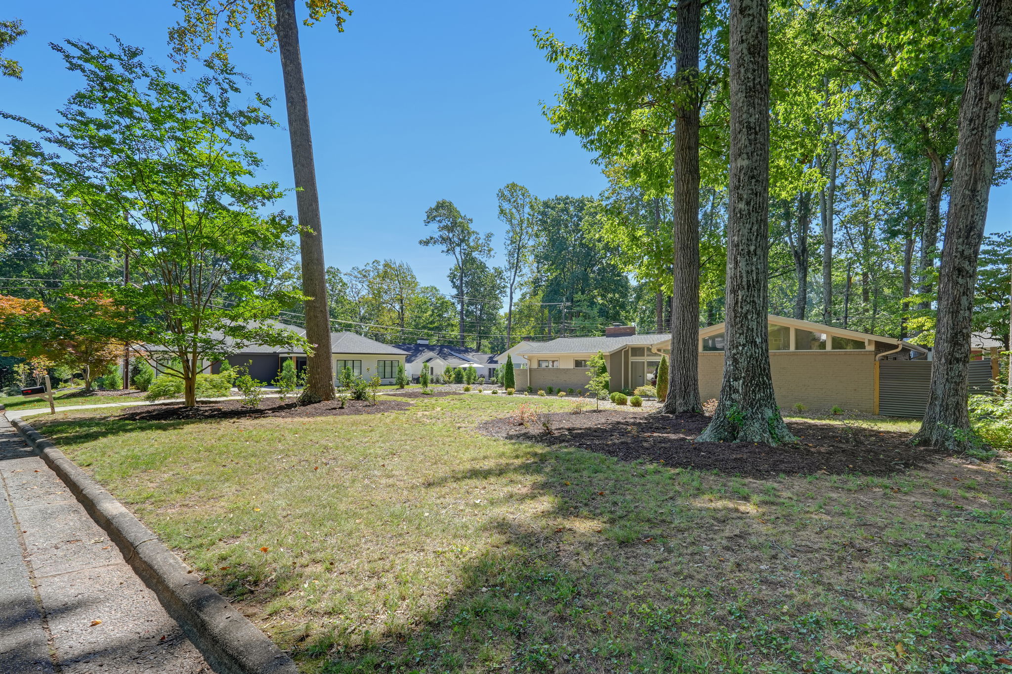 Front Yard