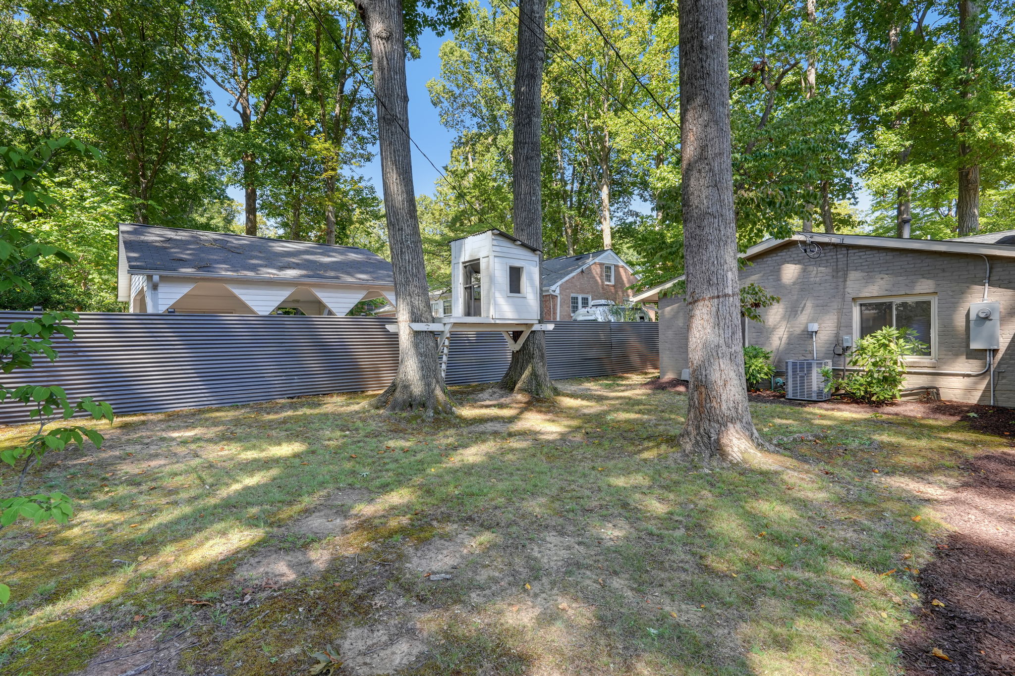 Back Yard