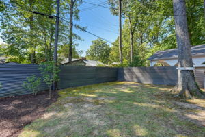 Back Yard