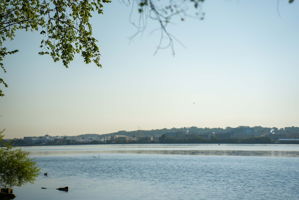  Photo 52