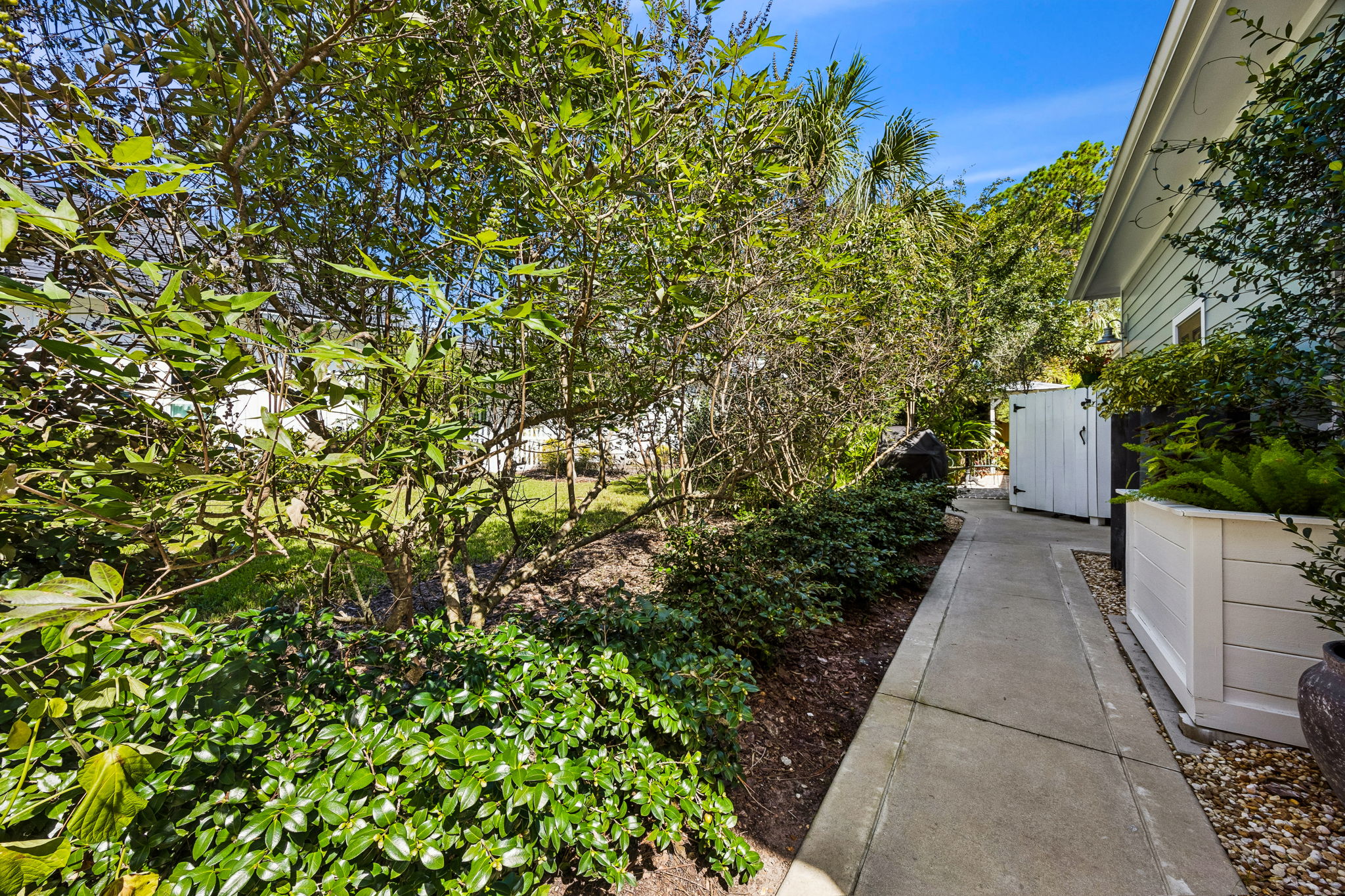 Backyard