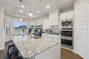 Houston Cv-S0512-025.jpg