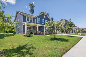 Easy low maintenance landscaping