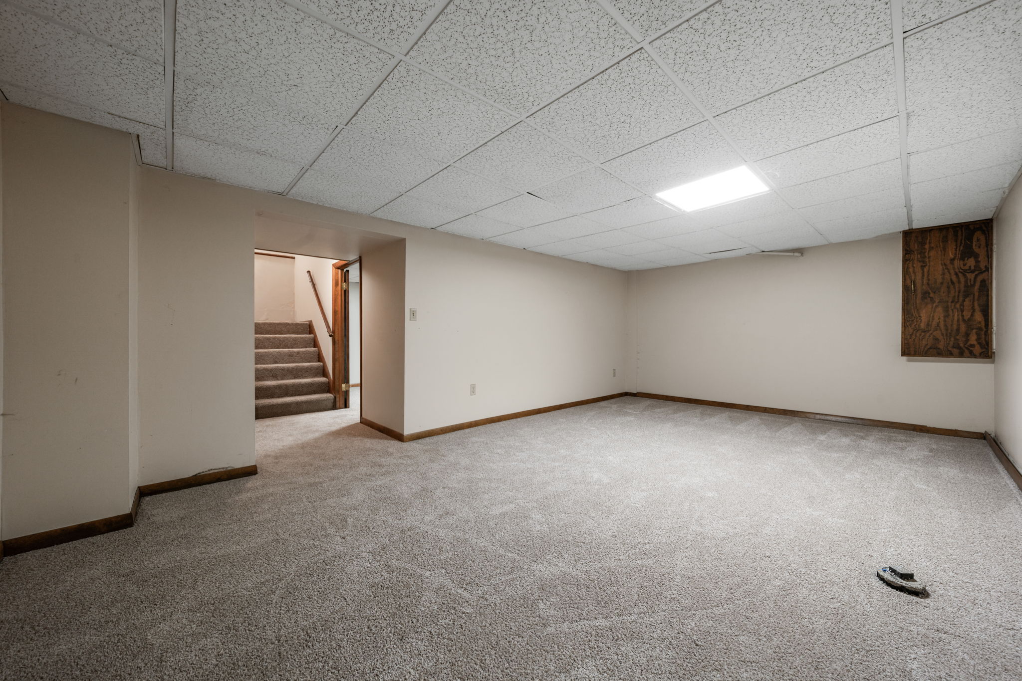  Photo 45