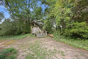  Photo 41