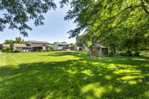  Photo 59