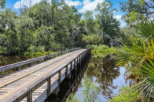 Marsh Landing