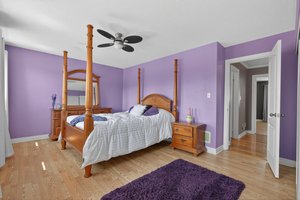  Photo 41