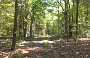  Photo 0