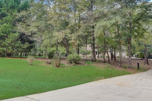 Watts Lake Rd-002