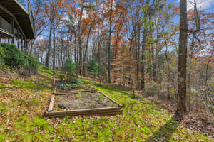 Local_Flavor_Films-105_Yonah_Vw_Dahlonega_GA-396.jpg
