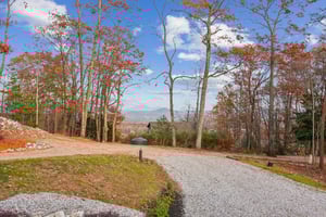 Local_Flavor_Films-105_Yonah_Vw_Dahlonega_GA-426.jpg