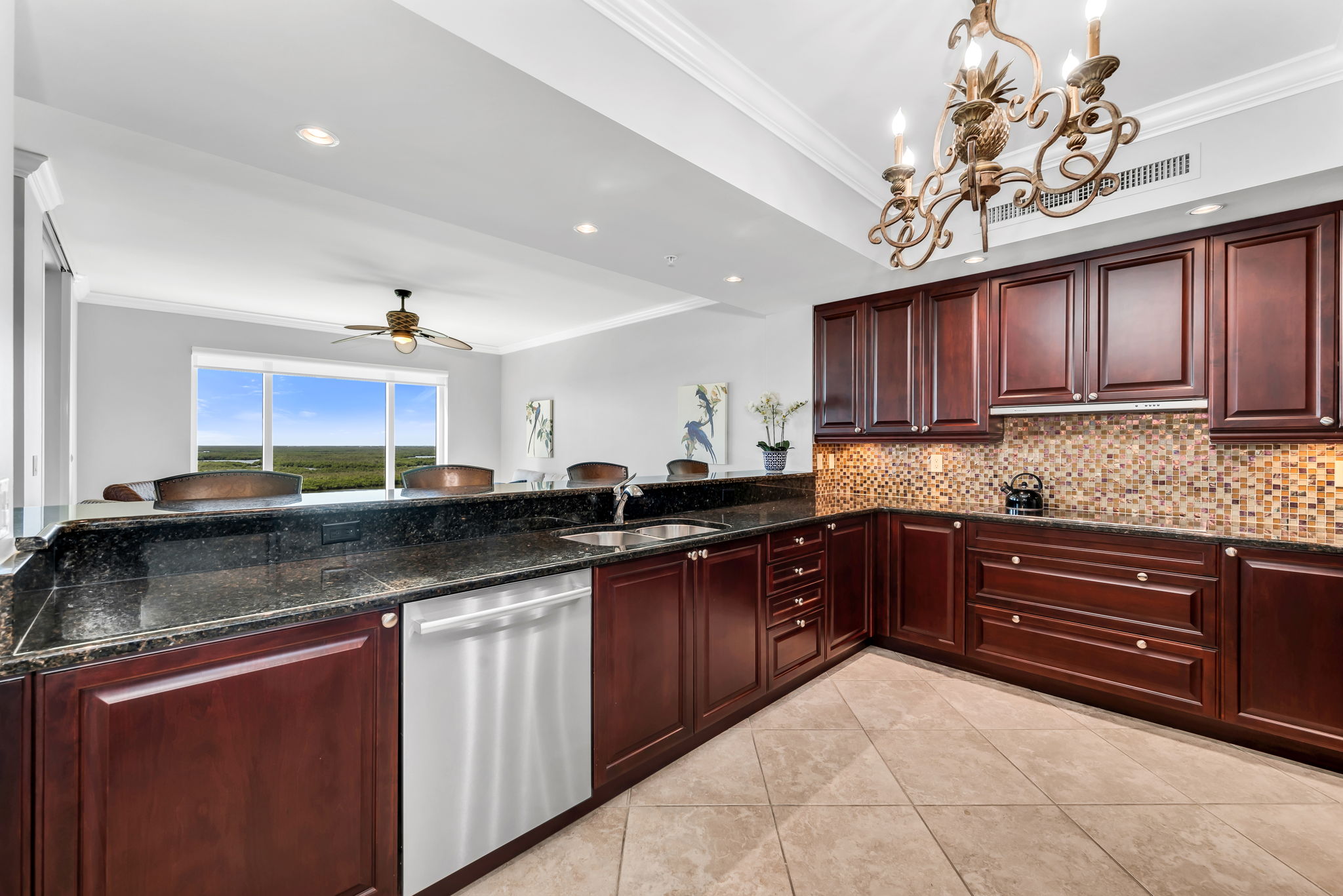Kitchen View 2