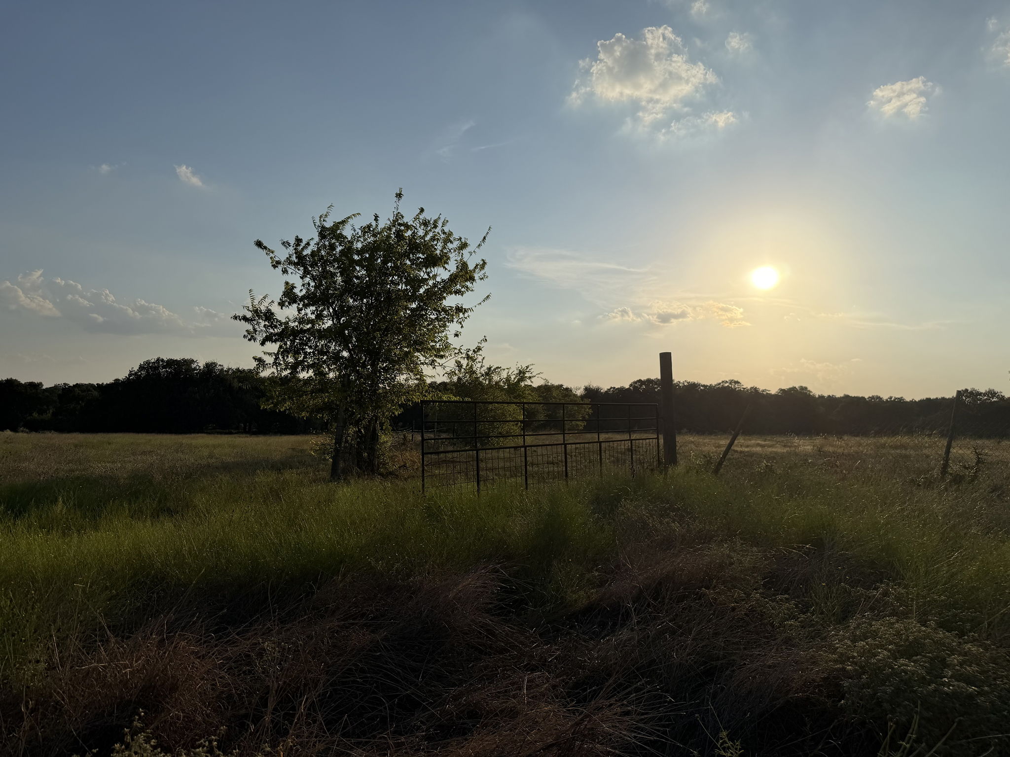  Photo 40