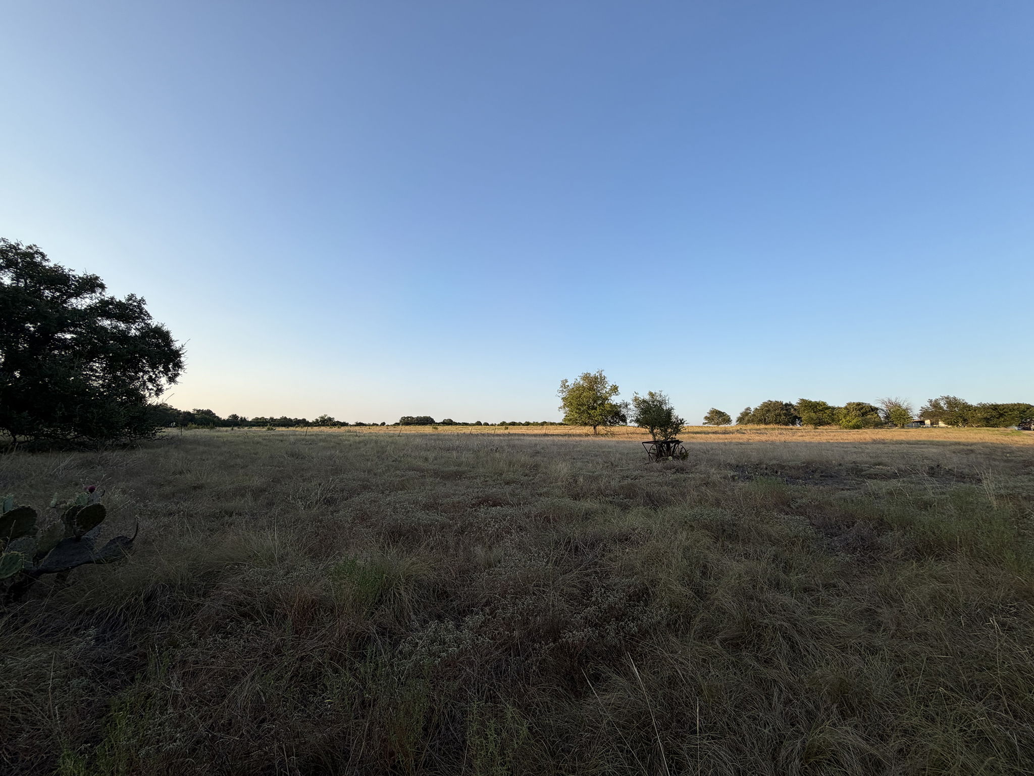  Photo 49