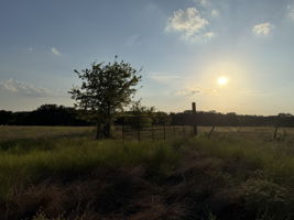  Photo 39