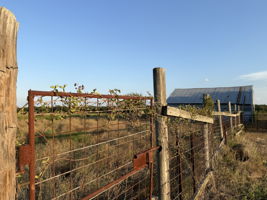  Photo 42