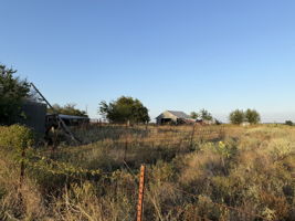  Photo 47